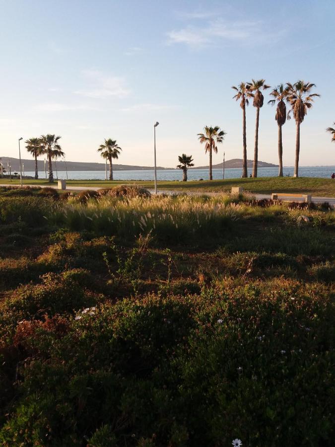 Apartment Nador Rif Bagian luar foto